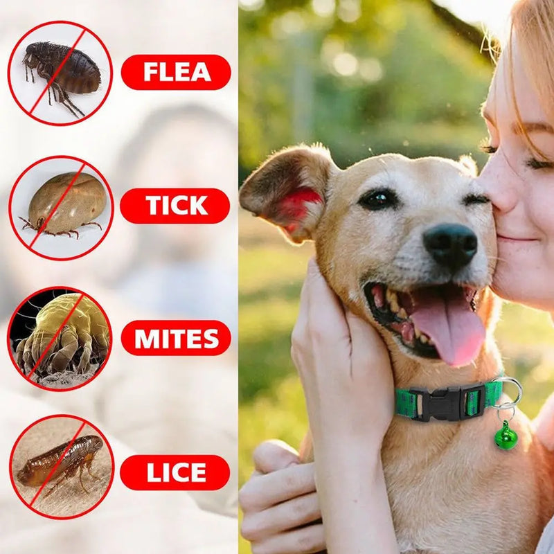 Effective Safety Kill Insect Mosquitoes Outdoor Dog Collar Anti Flea Mite Tick Neck Strap Pet Suppies